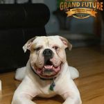 Grand Future Emperor