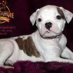 Grand Future Jeopardy - Male