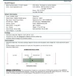 PennHip Results - 0.29 / 0.47 - healthy hips - no hip dysplasia