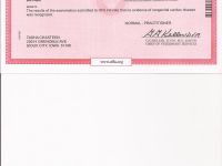 Chasteen's Rockzan - OFA Cardiac - Normal