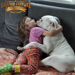 Grand Future Crown