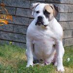Grand Future Fuji @ 5.5 months old
