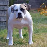 Grand Future Fuji @ 5.5 months old