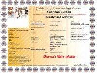 Chasteen's White Lightning Pedigree
