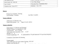 Sperm Evaluation for Chasteen's White Lightning - For Sale