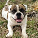 Grand Future Yoshinori