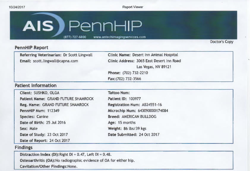 PennHip Test Results: 0.47 | 0.48