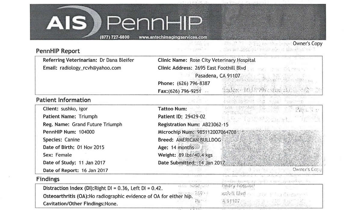 PennHip Test Results: 0.36 | 0.42